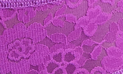 Shop Hanky Panky Daily Lace Boyshorts In Aster Garland (purple)