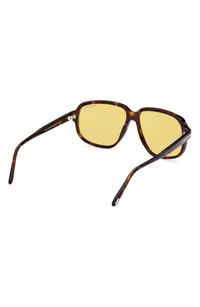 Shop Tom Ford Anton 59mm Square Sunglasses In Shiny Dark Havana / Amber
