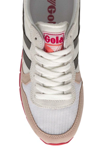 Shop Gola Daytona Sneaker In White/ Blossom/ Ash