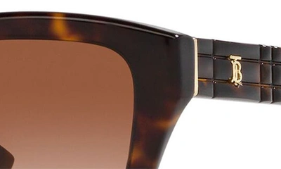 Shop Burberry Arden 54mm Gradient Square Sunglasses In Dk Havana