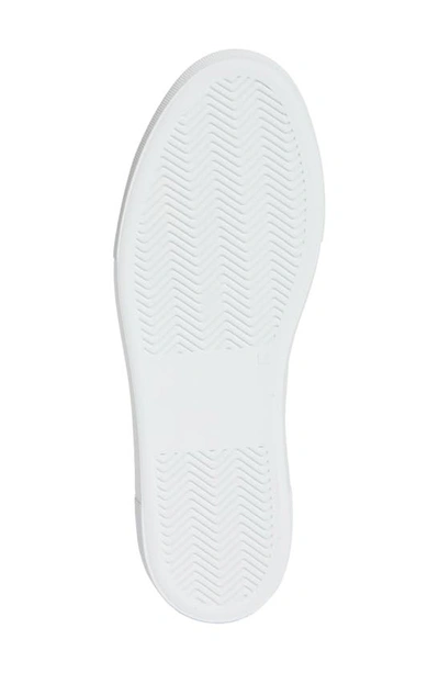 Common Projects Tournament Classic Low Top Sneaker In Off White