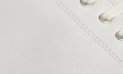 Common Projects Tournament Classic Low Top Sneaker In Off White