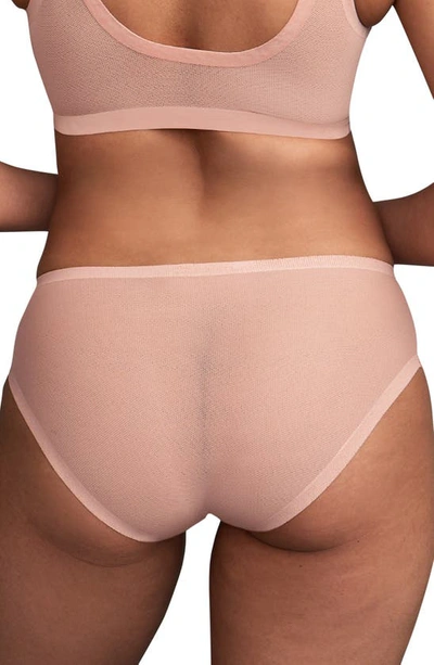 Shop Eby 2-pack Sheer Panties In Coral Pink