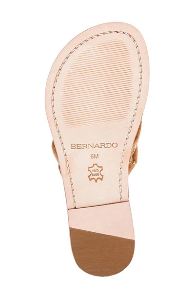 Shop Bernardo Footwear Bernardo Miami Sandal In Cork/ Gold