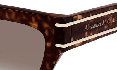 Shop Alexander Mcqueen 53mm Cat Eye Sunglasses In Havana