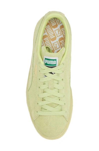 Puma Suede Classic Xxi Sneaker In Lime Green | ModeSens