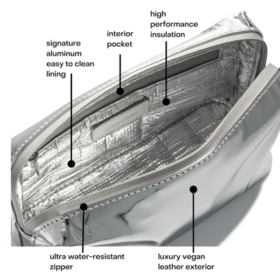 Wellinsulated Performance Beauty Bag In Silver