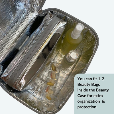 Wellinsulated Performance Beauty Bag In Silver