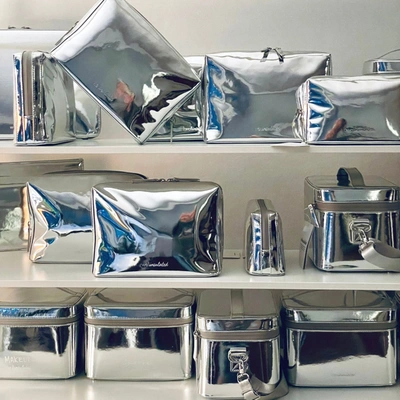 Wellinsulated Performance Beauty Bag In Silver