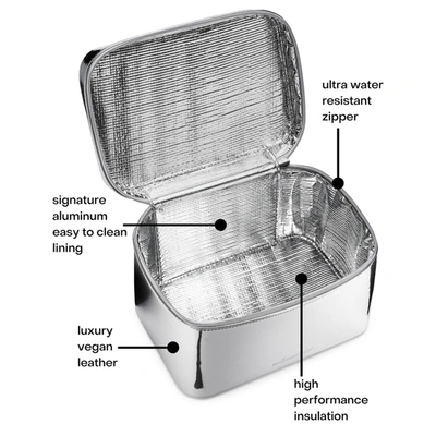 Wellinsulated Performance Beauty Case In Silver