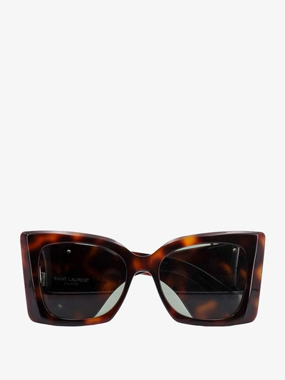 Shop Saint Laurent Sunglasses In Beige