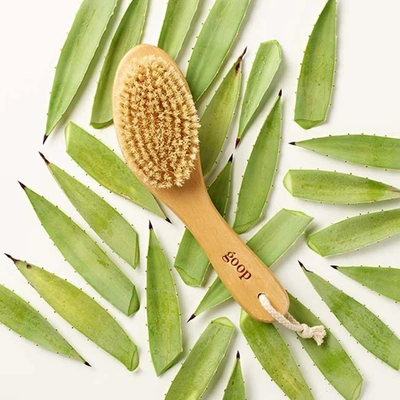 Shop Goop G.tox Ultimate Dry Brush