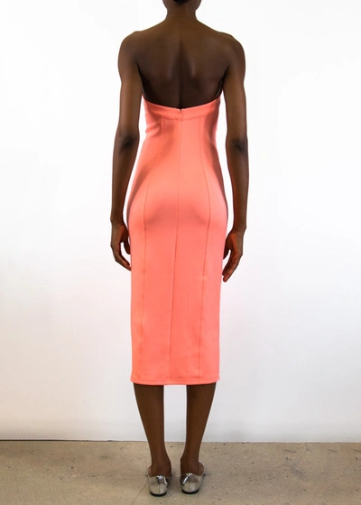 Shop Victor Glemaud Bustier Dress In Orange