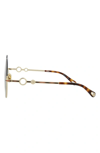Chloé 61mm Oversized Sunglasses In Gold Gold Blue