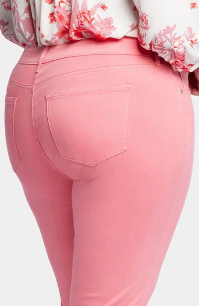 Shop Nydj Marilyn Ankle Straight Leg Jeans In Pink Punch