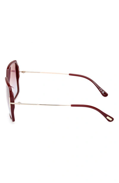 Tom Ford Joanna 59mm Gradient Polarized Butterfly Sunglasses In Shiny Bordeaux / Rose