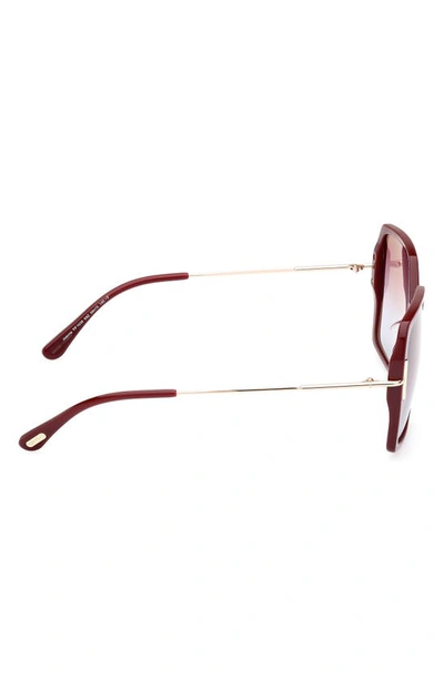 Tom Ford Joanna 59mm Gradient Polarized Butterfly Sunglasses In Shiny Bordeaux / Rose