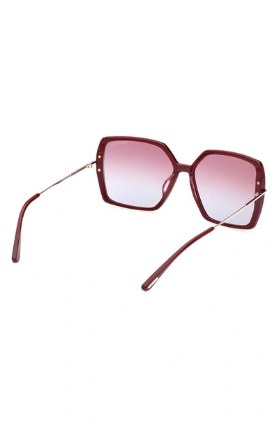 Tom Ford Joanna 59mm Gradient Polarized Butterfly Sunglasses In Shiny Bordeaux / Rose