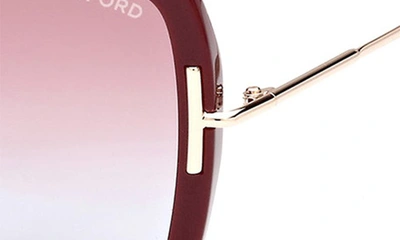 Tom Ford Joanna 59mm Gradient Polarized Butterfly Sunglasses In Shiny Bordeaux / Rose