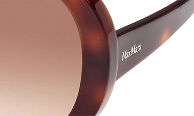 Shop Max Mara 54mm Gradient Round Sunglasses In Dark Havana / Gradient Brown