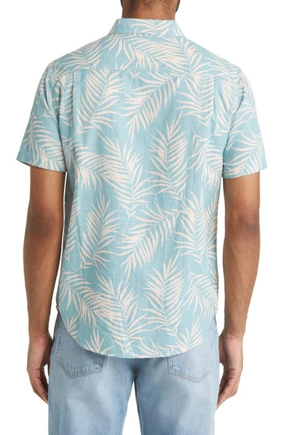 Shop Rails Fairfax Palm Print Short Sleeve Cotton Button-up Shirt In Palm Shadow Aqua