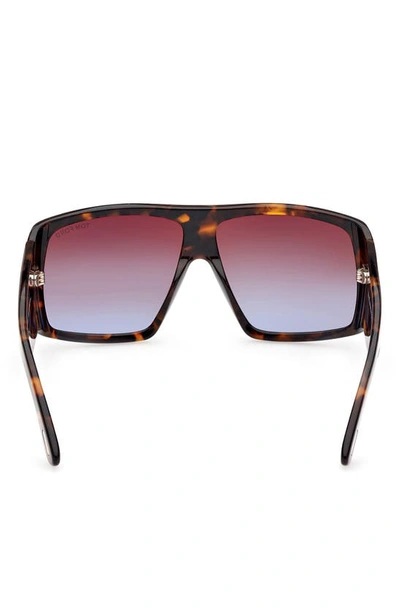 Shop Tom Ford Raven 60mm Square Sunglasses In Havana/other / Gradient Brown