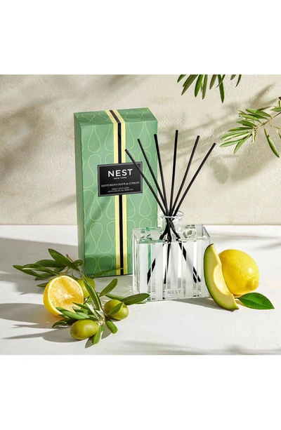 Nest New York Santorini Olive And Citron Reed Diffuser, 5.9 Oz.
