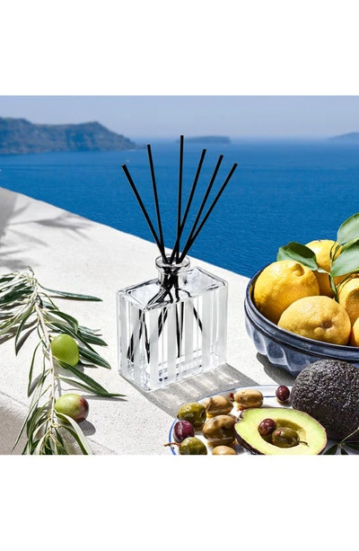 Nest New York Santorini Olive And Citron Reed Diffuser, 5.9 Oz.