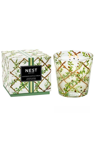 Shop Nest New York Santorini Olive & Citron Scented 3-wick Candle