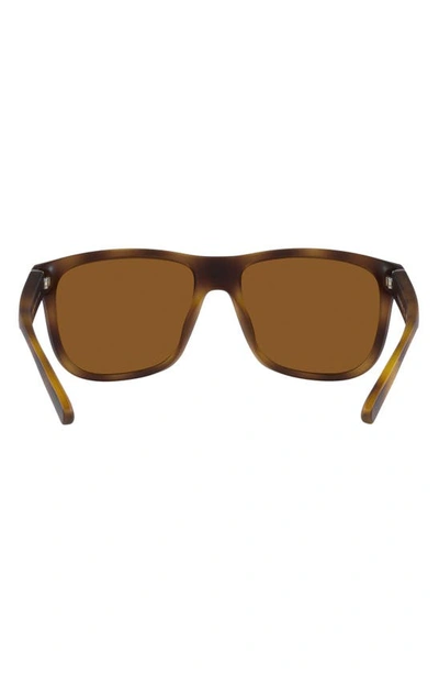 Shop Armani Exchange 57mm Pillow Sunglasses In Matte Havana / Dark Brown