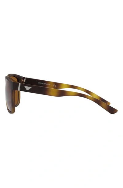 Shop Armani Exchange 57mm Pillow Sunglasses In Matte Havana / Dark Brown