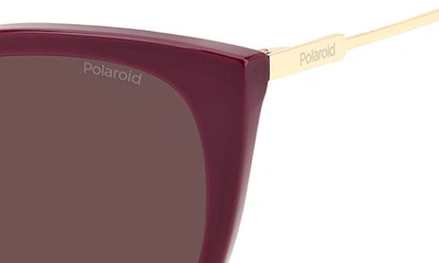 Shop Polaroid 52mm Polarized Cat Eye Sunglasses In Violet/ Violet Polarized
