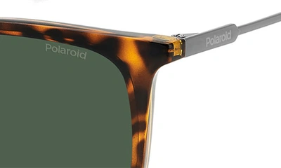 Shop Polaroid 55mm Polarized Rectangular Sunglasses In Havana/ Green Polarized