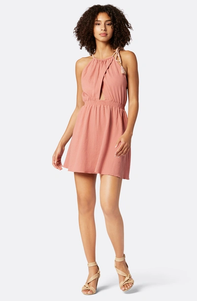 Shop Joie Eve Mini Cotton Dress In Pink