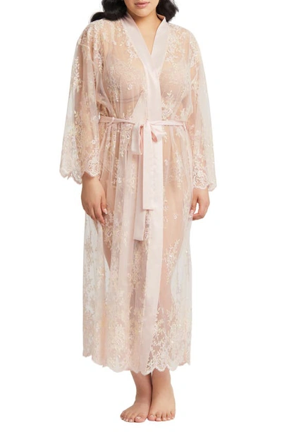 Shop Rya Collection Darling Sheer Lace Robe In Blush