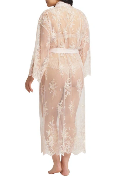 Shop Rya Collection Darling Sheer Lace Robe In Blush
