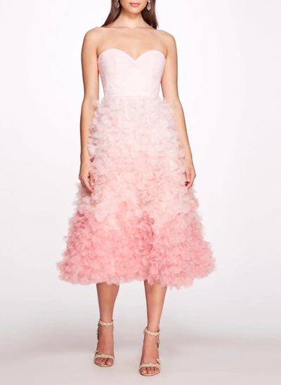 Shop Marchesa Ombré Textured Tulle Tea-length Gown In Pink Ombre