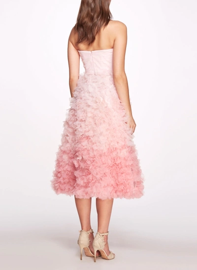 Shop Marchesa Ombré Textured Tulle Tea-length Gown In Pink Ombre