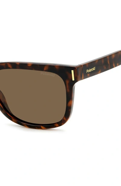 Polaroid 54mm Polarized Rectangular Sunglasses In Havana/ Bronze Polar
