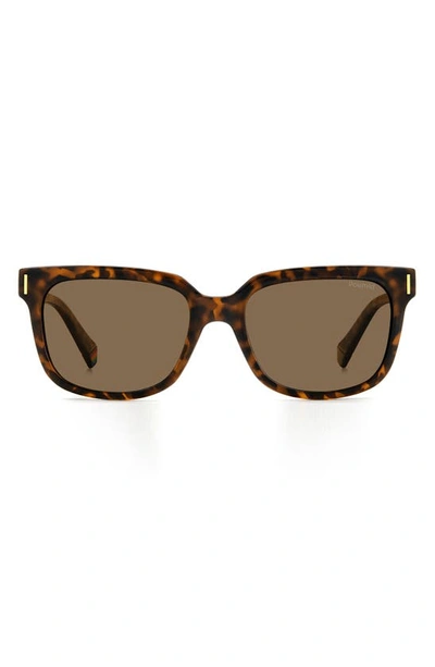 Polaroid 54mm Polarized Rectangular Sunglasses In Havana/ Bronze Polar