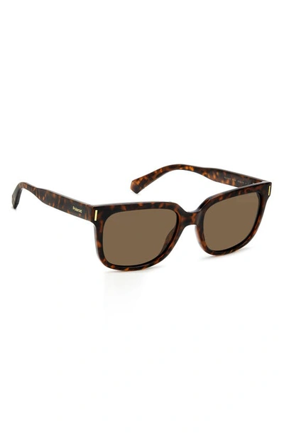Polaroid 54mm Polarized Rectangular Sunglasses In Havana/ Bronze Polar