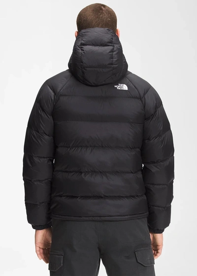 Shop The North Face Black Hydrenalite Down Hoodie In Tnf Black