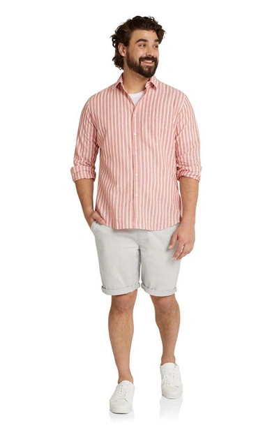 Shop Johnny Bigg Robson Flat Front Stretch Cotton Chino Shorts In Ice