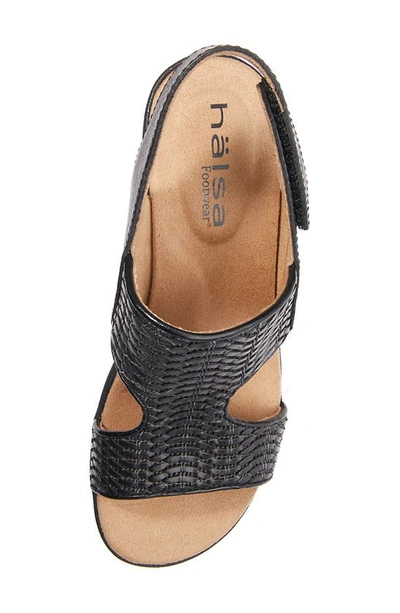Shop Halsa Footwear Coral Sandal In Black