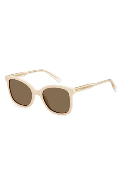 Shop Polaroid 53mm Polarized Square Sunglasses In Ivory/ Bronze Polar