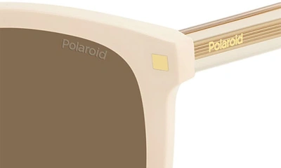 Shop Polaroid 53mm Polarized Square Sunglasses In Ivory/ Bronze Polar