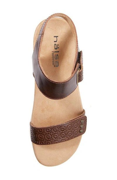 Shop Halsa Footwear Dominica Sandal In Dark Brown