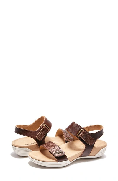 Shop Halsa Footwear Hälsa Footwear Dominica Sandal In Dark Brown
