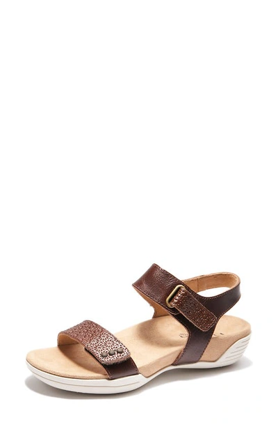 Shop Halsa Footwear Dominica Sandal In Dark Brown