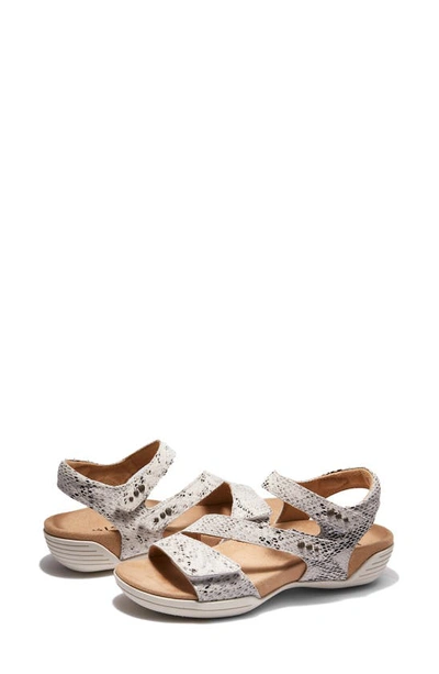 Shop Halsa Footwear Hälsa Denia Ankle Strap Sandal In Beige/ Silver